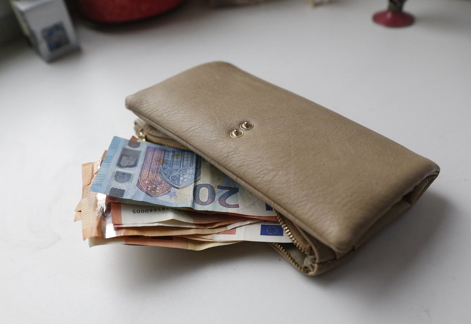 Piniginė (nuotr. Elta) Piniginė (nuotr. Elta)