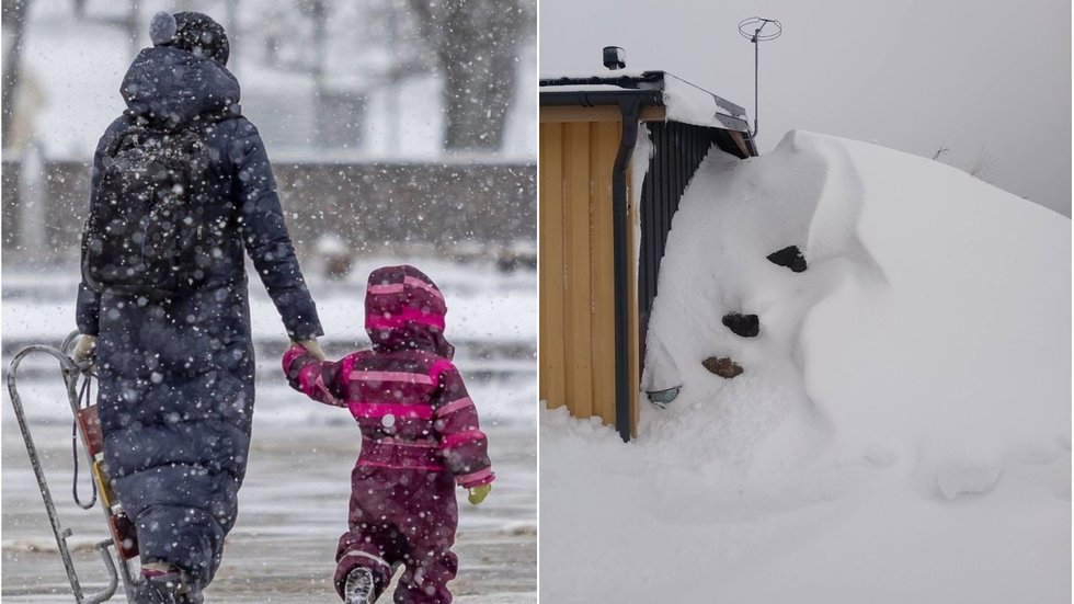 Žiema (tv3.lt koliažas) Žiema (tv3.lt koliažas)